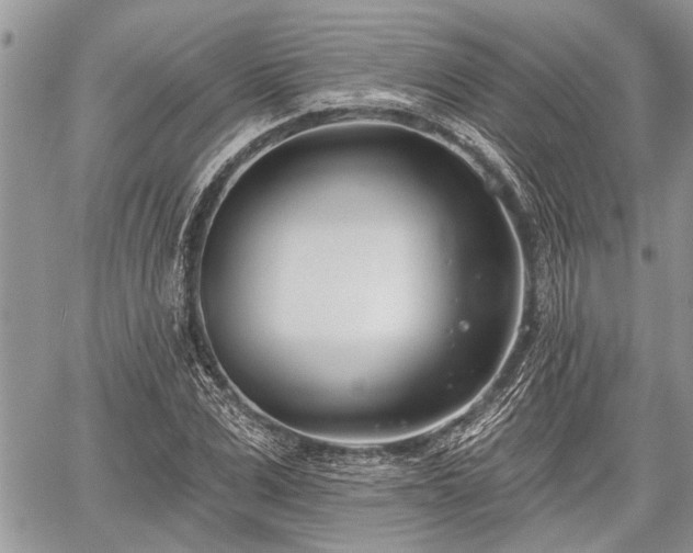 X0000059820975200510241351