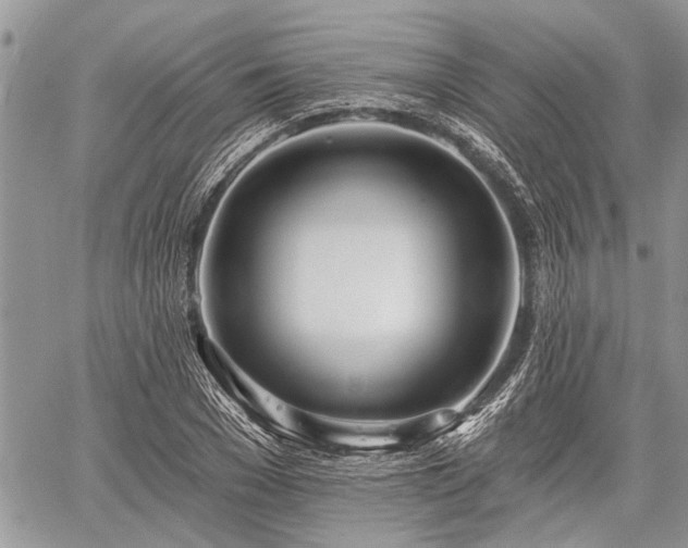 X0000059820977200510241351