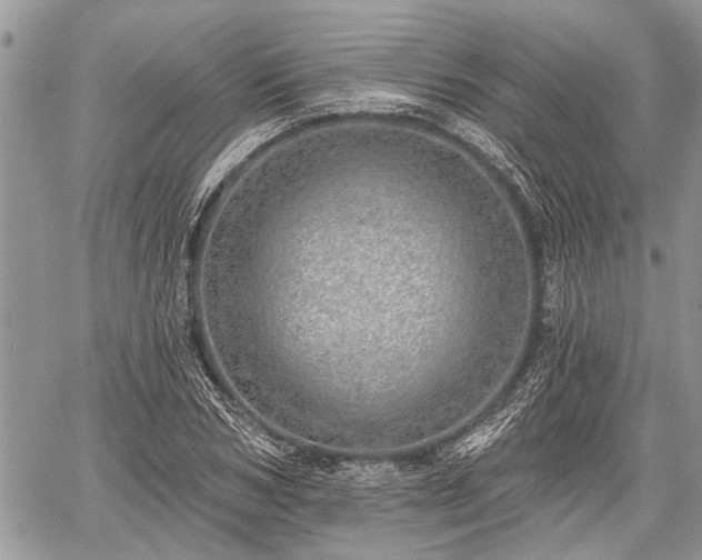 X0000059820978200510241351