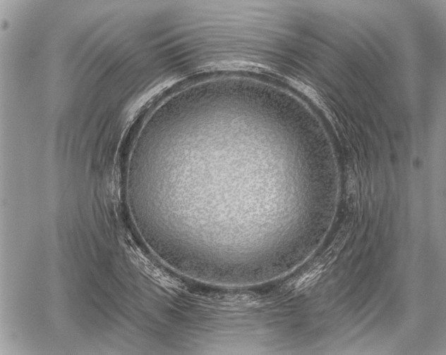 X0000059820979200510241351