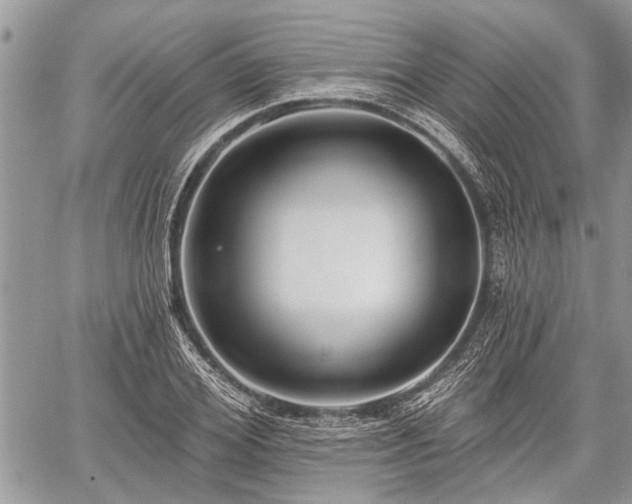 X0000059820980200510241351