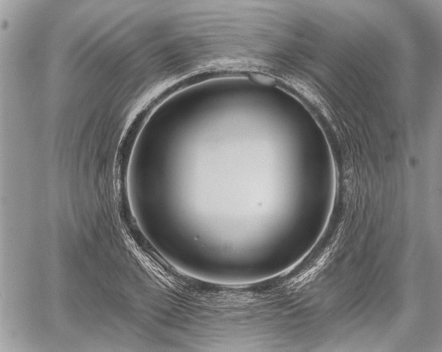 X0000059820981200510241351