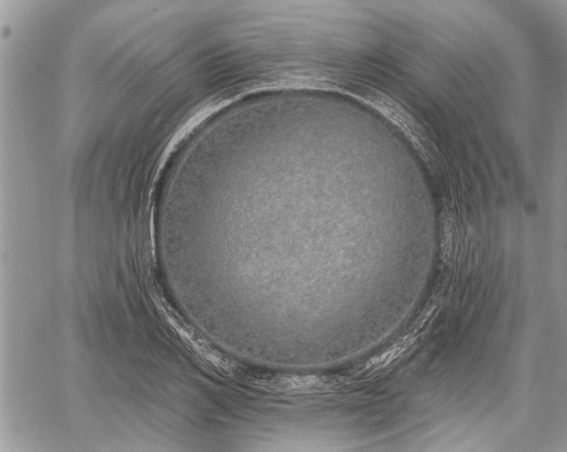 X0000059820982200510241351