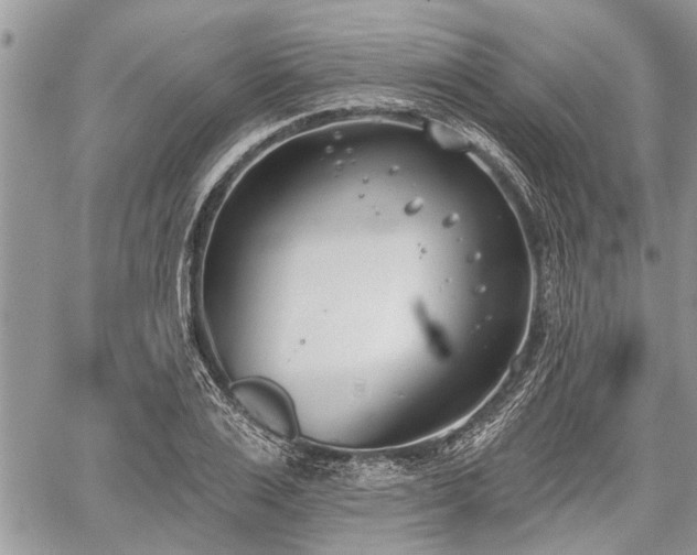 X0000059820983200510241351