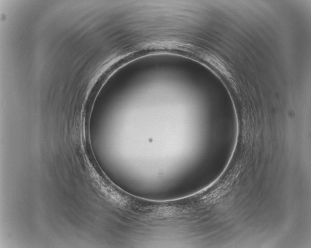 X0000059820984200510241351