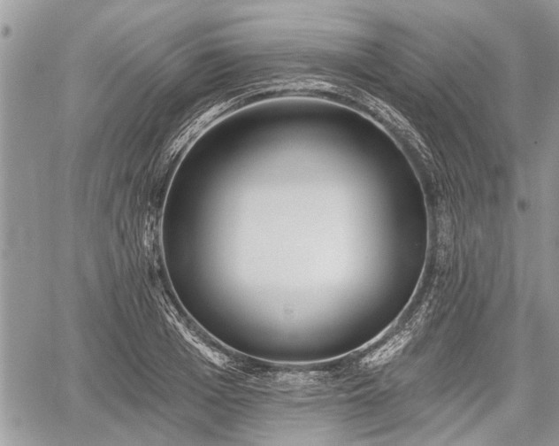 X0000059820985200510241351