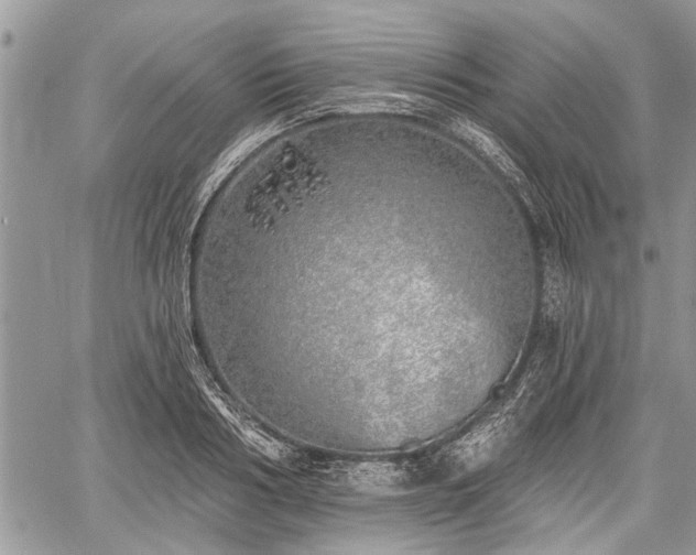 X0000059820986200510241351