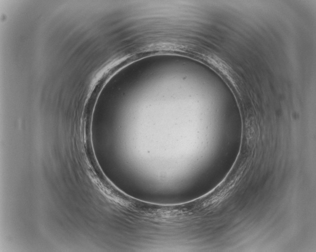 X0000059820987200510241351