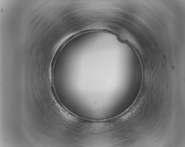 X0000059820988200510241351