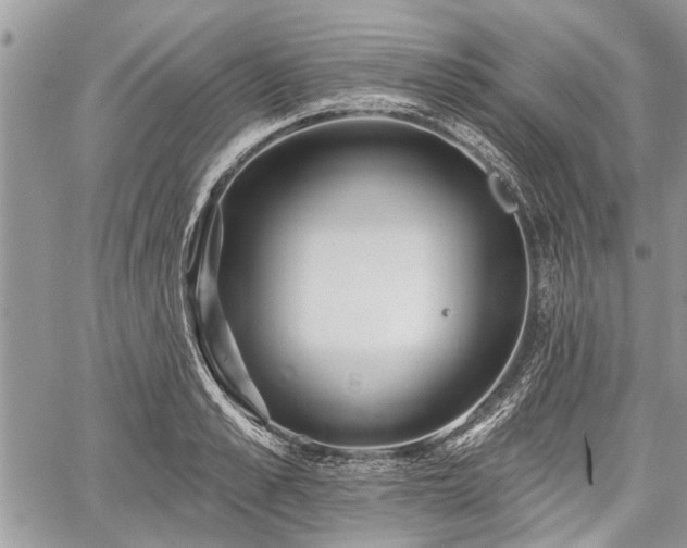 X0000059820989200510241351