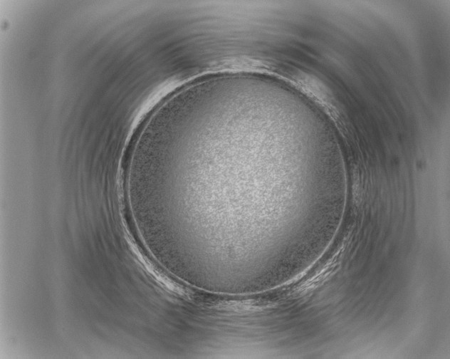 X0000059820990200510241351