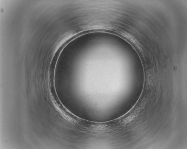 X0000059820991200510241351