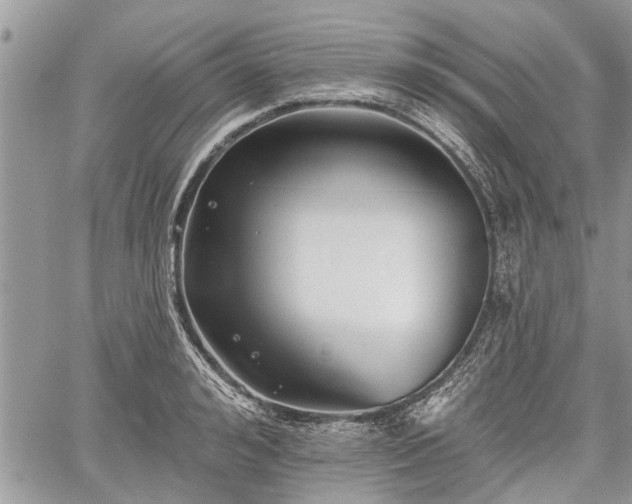 X0000059820992200510241351