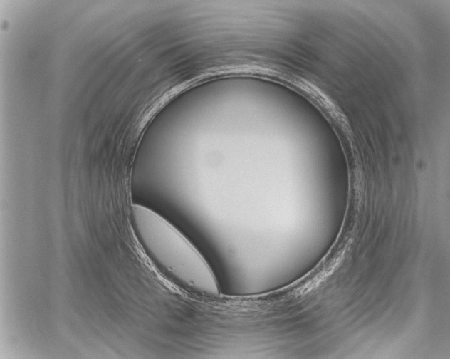 X0000059820993200510241351