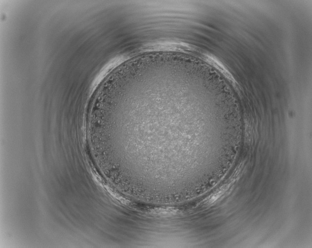 X0000059820994200510241351