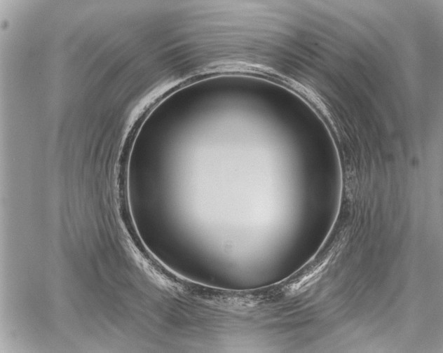 X0000059820995200510241351