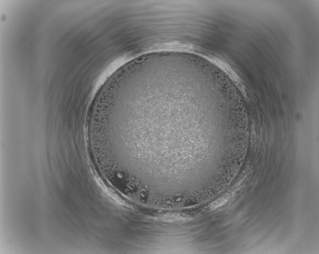 X0000059820998200510241351