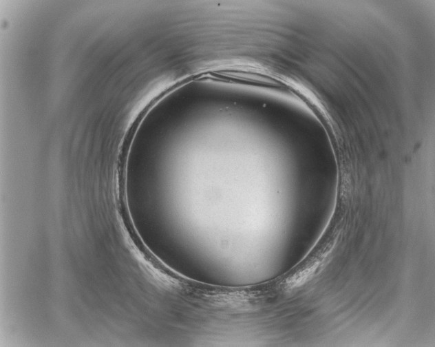 X0000059820999200510241351