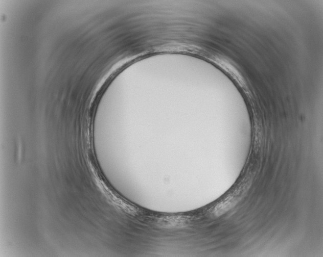 X0000059821000200510241351