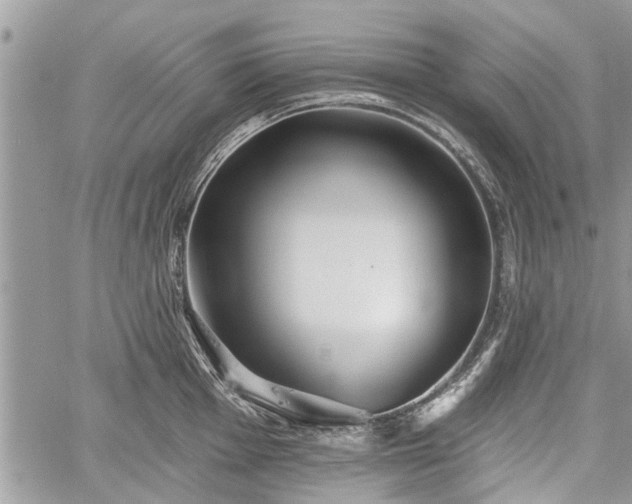 X0000059821001200510241351