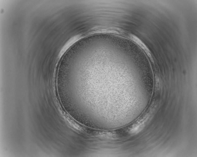 X0000059821002200510241351