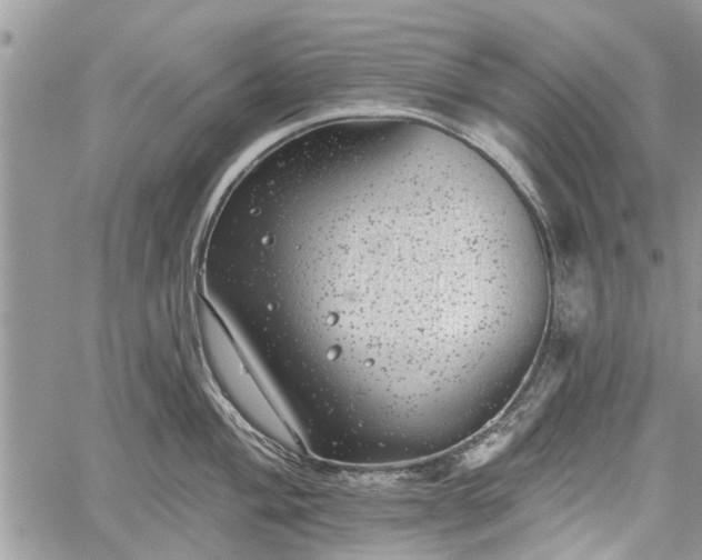 X0000059821004200510241351