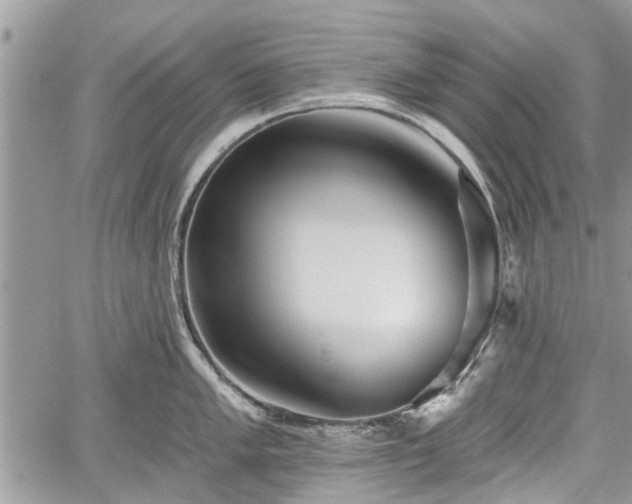 X0000059821005200510241351