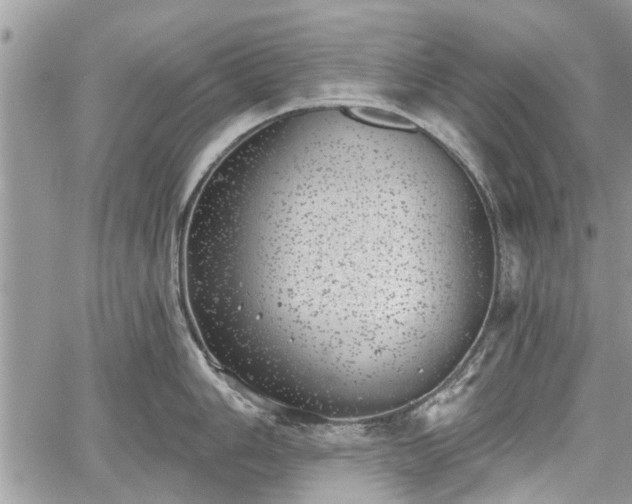 X0000059821006200510241351