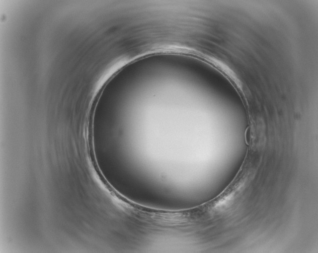 X0000059821007200510241351