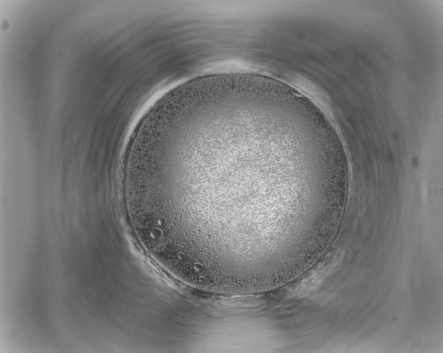 X0000059821008200510241351