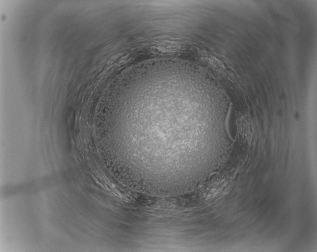 X0000059821009200510241350