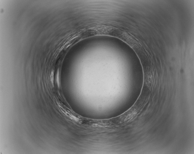 X0000059821010200510241350