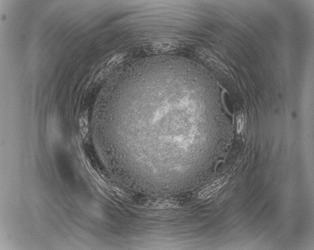 X0000059821011200510241350