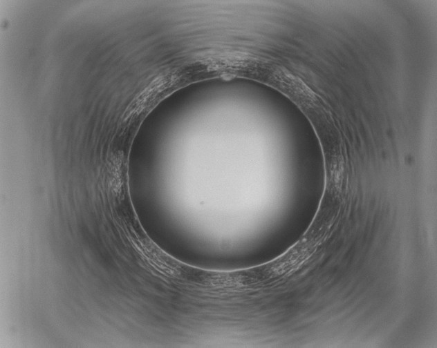 X0000059821012200510241350