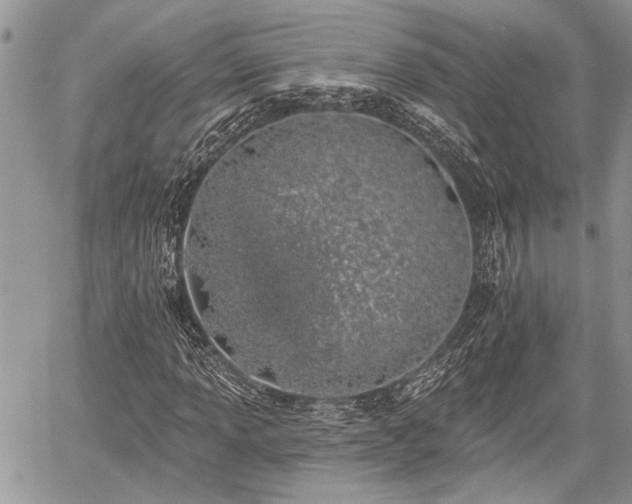 X0000059821013200510241350