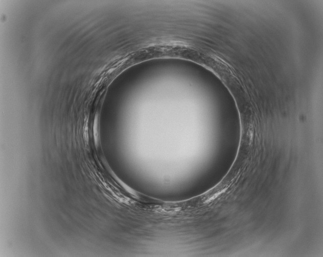 X0000059821014200510241350