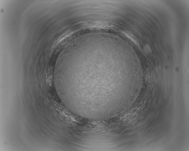 X0000059821015200510241350