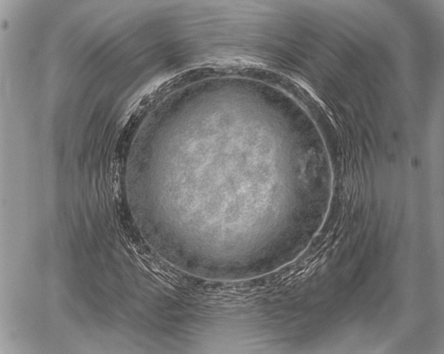 X0000059821016200510241350