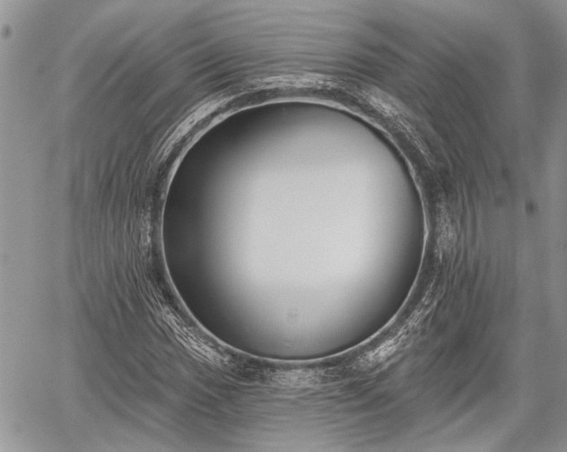 X0000059821017200510241350