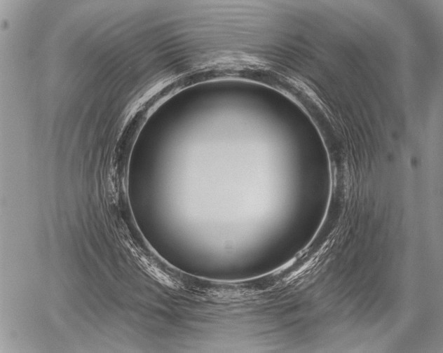 X0000059821018200510241350