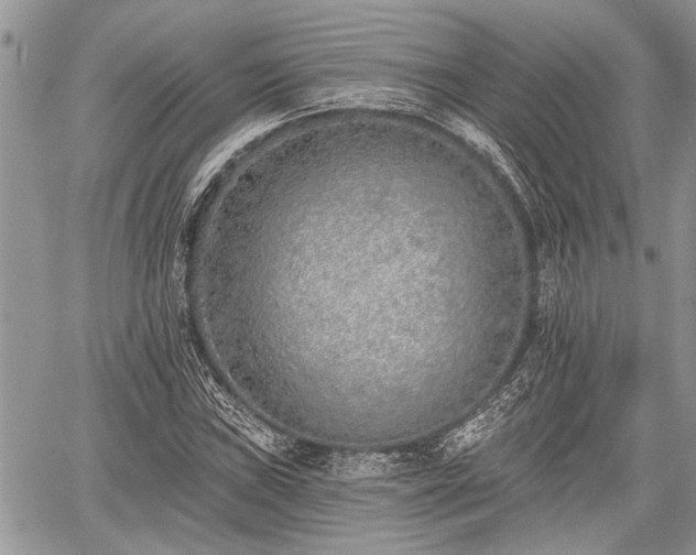 X0000059821019200510241350