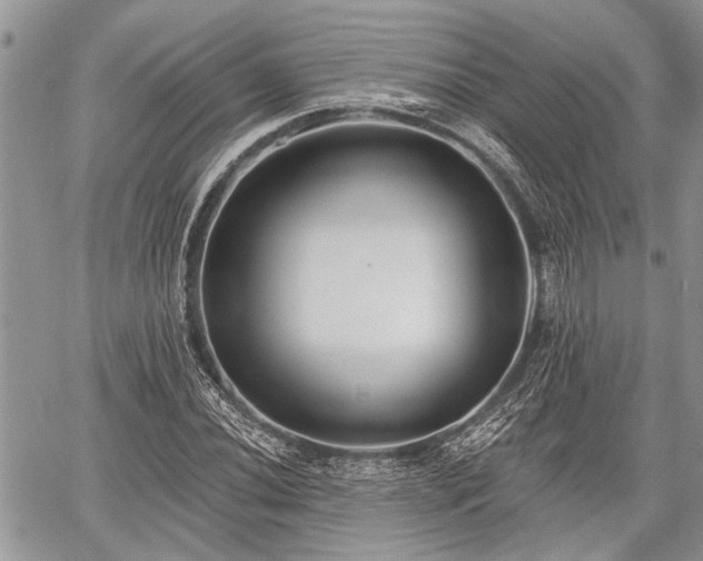 X0000059821020200510241350