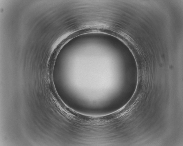 X0000059821022200510241350