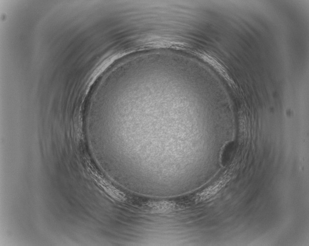 X0000059821023200510241350