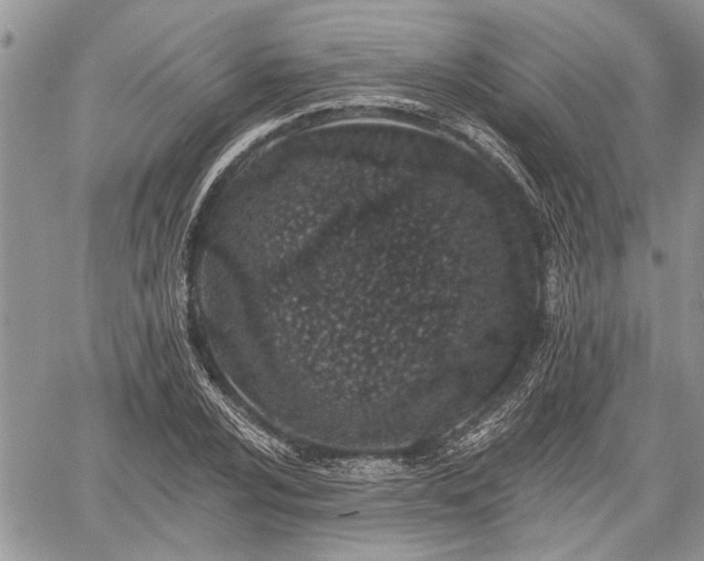 X0000059821024200510241350