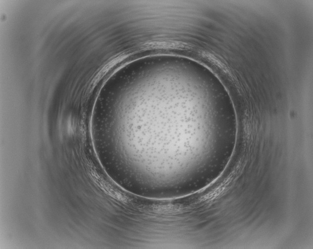 X0000059821025200510241350