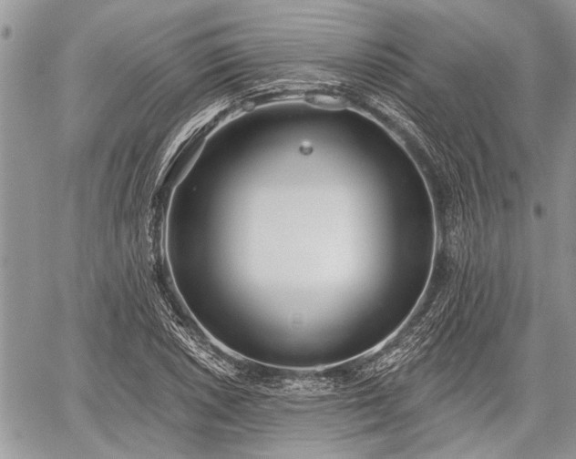 X0000059821026200510241350