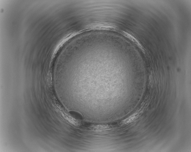 X0000059821027200510241350