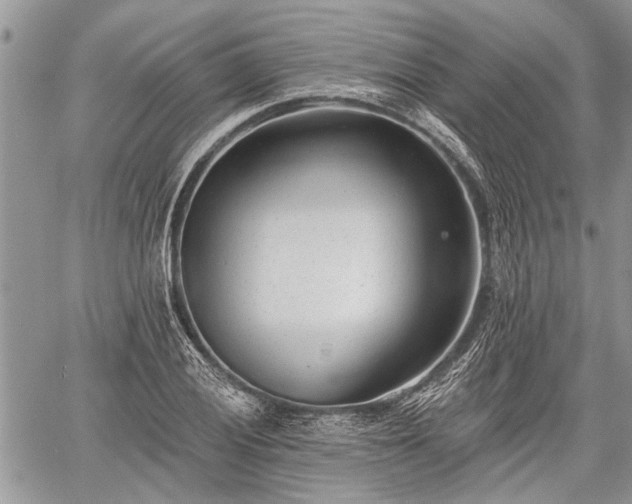 X0000059821028200510241350