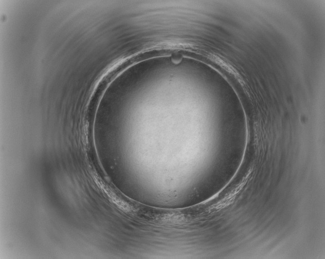 X0000059821029200510241350